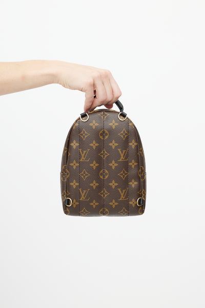 Louis Vuitton Palm Springs Mini Backpack - The Shoe Box