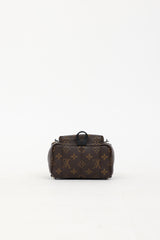 Louis Vuitton 2019 Monogram Palm Spring Mini Backpack Bag