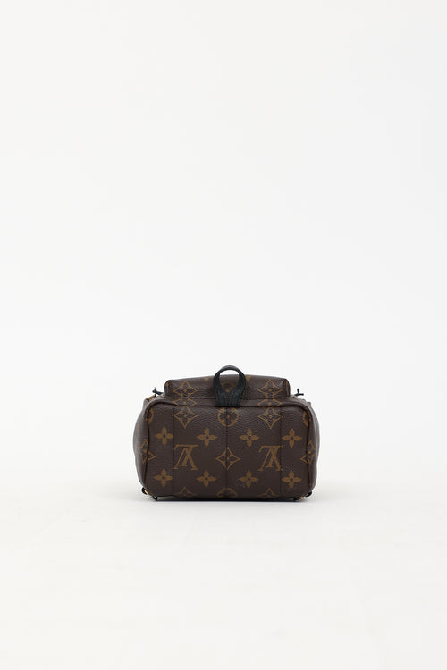 Louis Vuitton 2019 Monogram Palm Spring Mini Backpack Bag