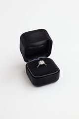 Tiffany & Co. Platinum Soleste Diamond Double Halo Ring