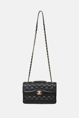 Chanel 2018 Daily Companion Flap Bag