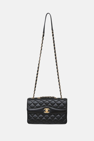 Chanel 2018 Daily Companion Flap Bag