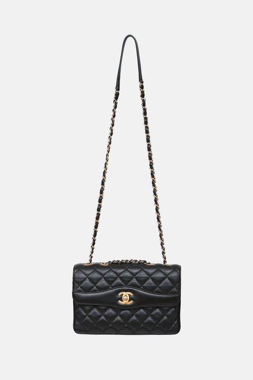 Chanel 2018 Daily Companion Flap Bag