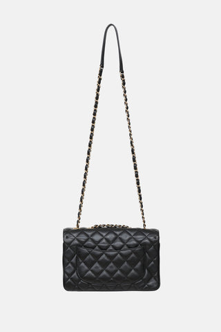 Chanel 2018 Daily Companion Flap Bag