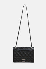 Chanel 2015 Lambskin Medium Ballerine Flap Bag