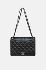 Chanel 2015 Lambskin Medium Ballerine Flap Bag