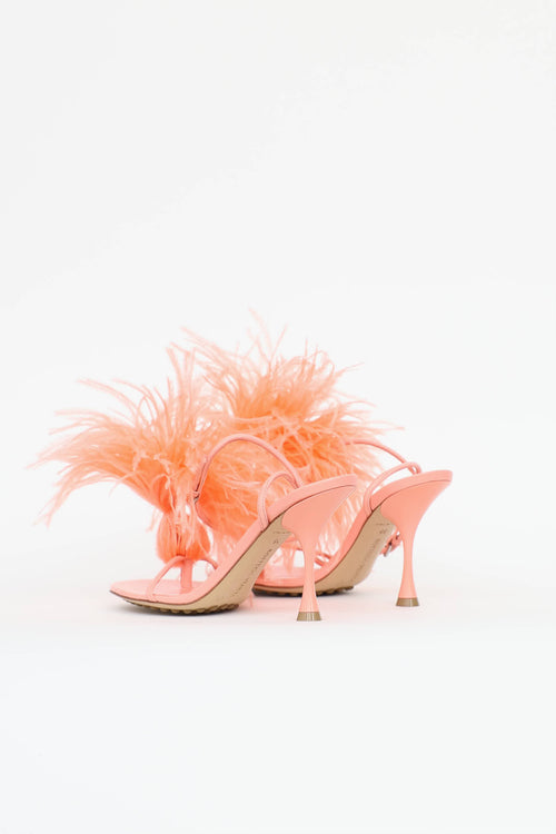 Bottega Veneta Wonderbird Nappa Flamingo Feather  Sandals