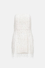 Retrofête Sequin Fringe Dress