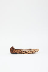 Chloé Printed Lauren Ballet Flat