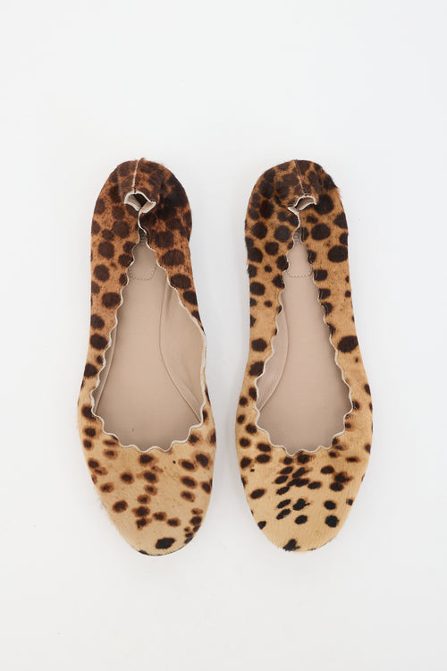 Chloé Printed Lauren Ballet Flat