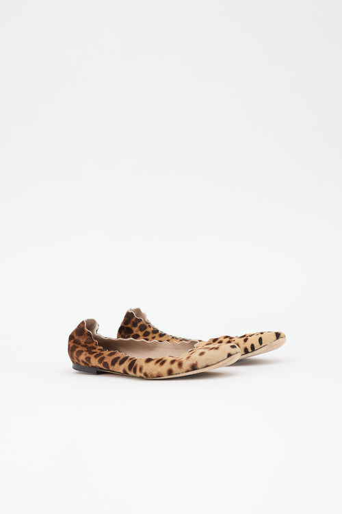 Chloé Printed Lauren Ballet Flat