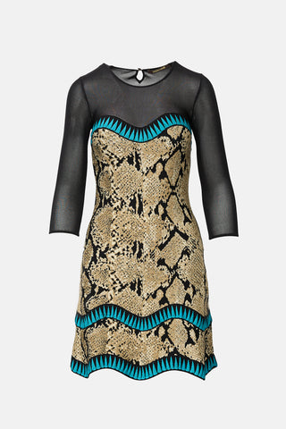 Roberto Cavalli 2015 Jacquard Knit Dress
