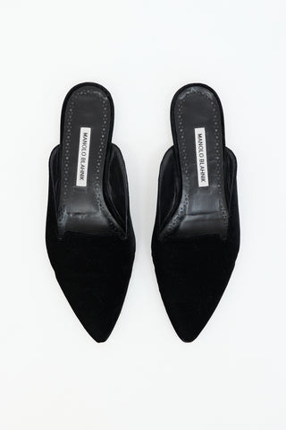 Manolo Blahnik Velvet Pointed Mule