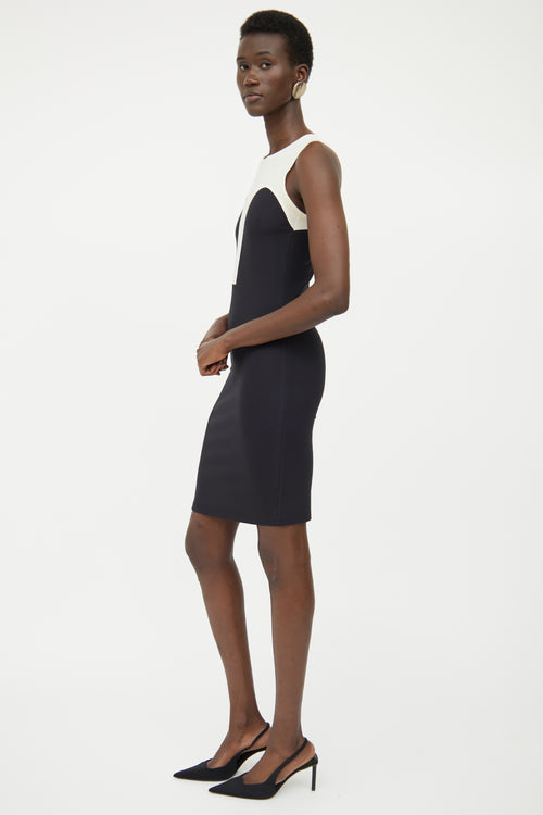 Alexander McQueen Black & Beige Silk Dress