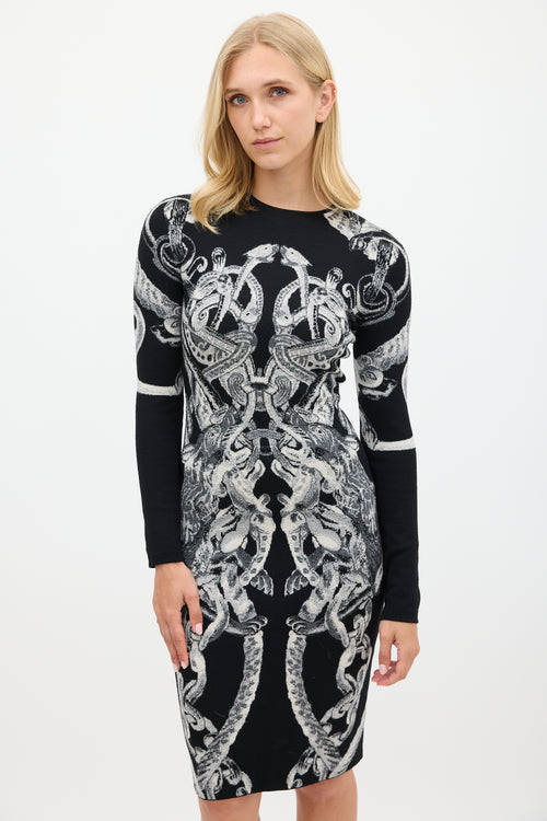 Alexander McQueen FW 2010 Black & White Knit Graphic Dress