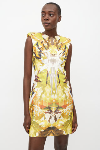 Alexander McQueen SS 2009 Crystal Printed Dress