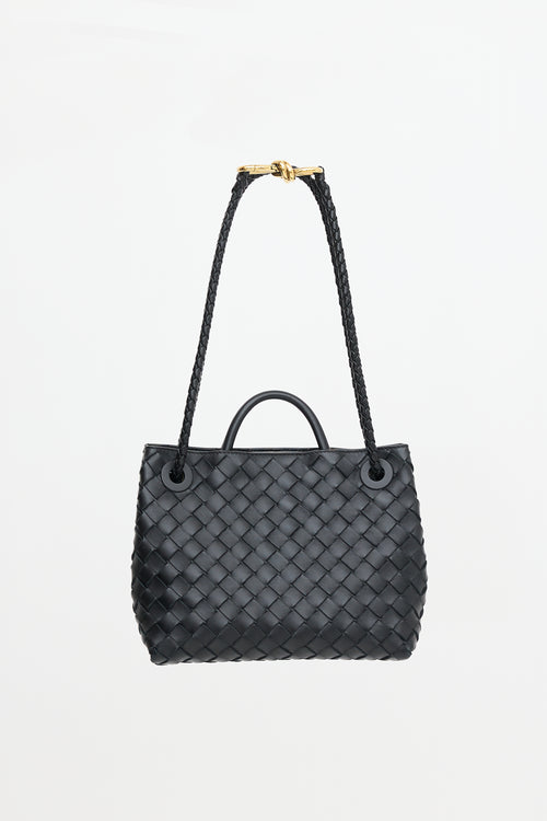 Bottega Veneta Intrecciato Mini Andiamo Bag