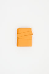 Bvlgari Orange Leather Watch Travel Case