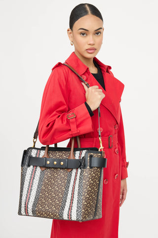Burberry Medium E- Canvas TB Stripe Belt Tote