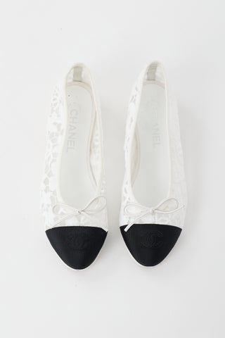Lace CC Ballet Flat