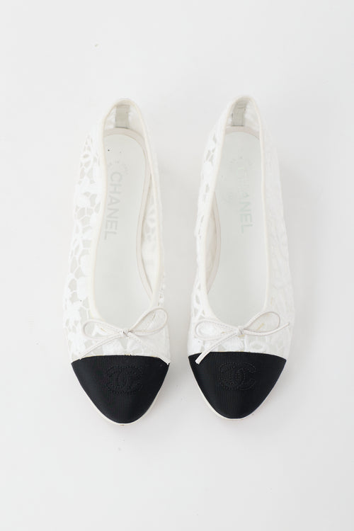 Lace CC Ballet Flat