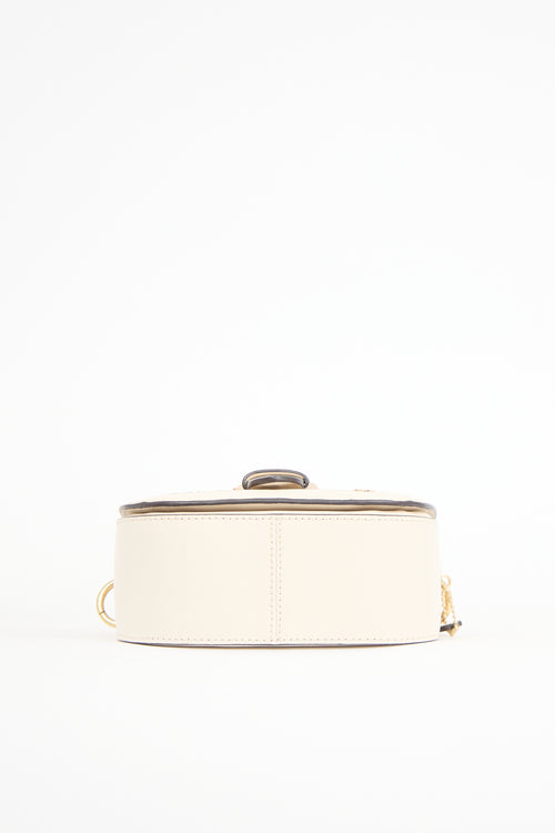 Coach Woven Straw Kleo Bag