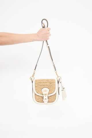 Coach Woven Straw Kleo Bag