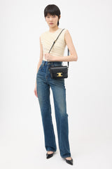 Celine 2021 Leather Triomphe Classique Bag