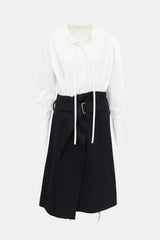 Celine Pre-Fall 2017 Poplin & Wool Dress