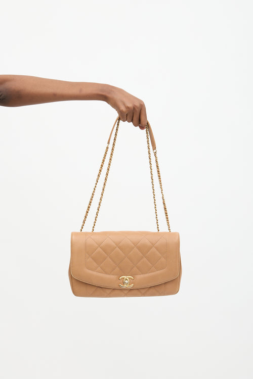 Chanel 2014 Leather Diana Reissue Flap Bag