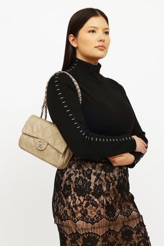 Chanel 2011 Taupe Wild Stitch Single Flap Shoulder Bag
