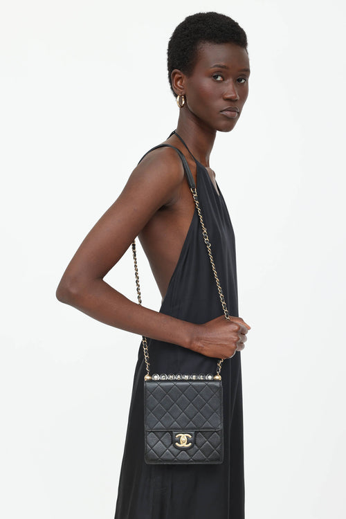Chanel 2019 Mini Chic Pearls Flap Bag