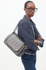 Chanel 2010 Silver Metallic Caviar Timeless Accordion Flap Bag
