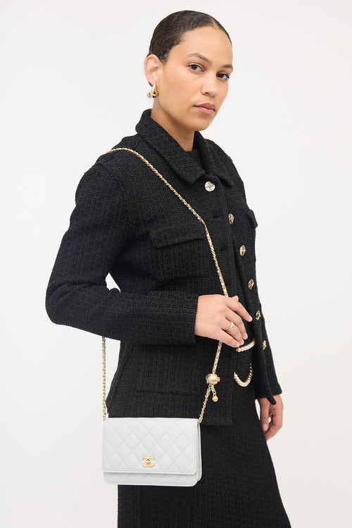 Chanel Leather Wallet On Chain Bag