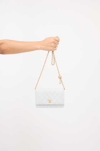 Chanel Leather Wallet On Chain Bag