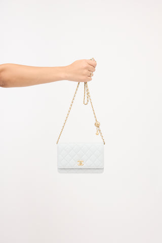Chanel Leather Wallet On Chain Bag