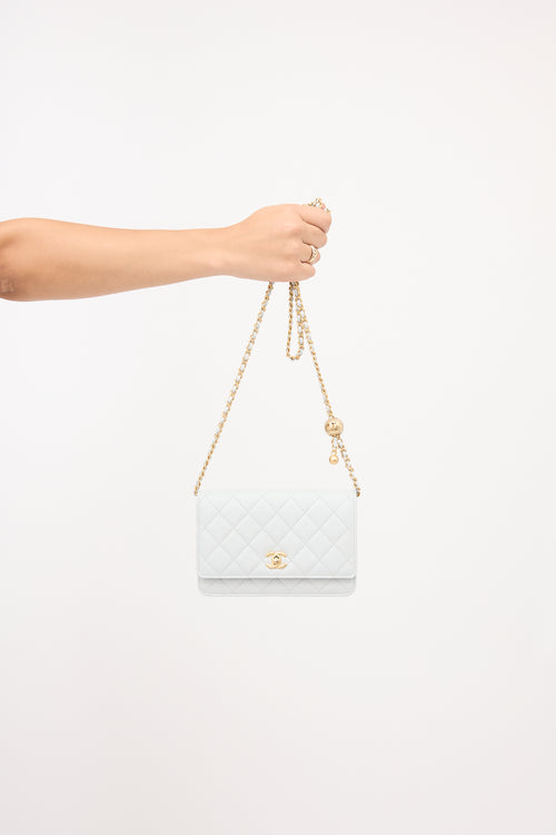 Chanel Leather Wallet On Chain Bag