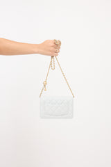 Chanel Leather Wallet On Chain Bag