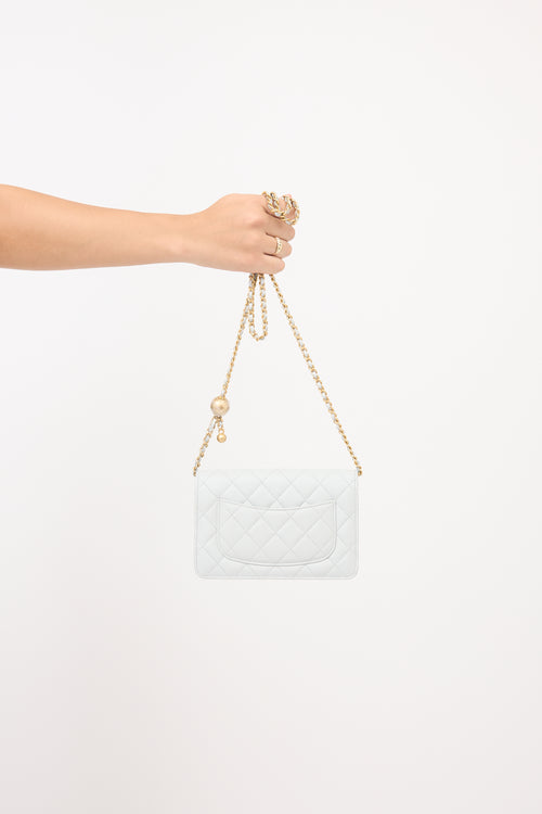 Chanel Leather Wallet On Chain Bag