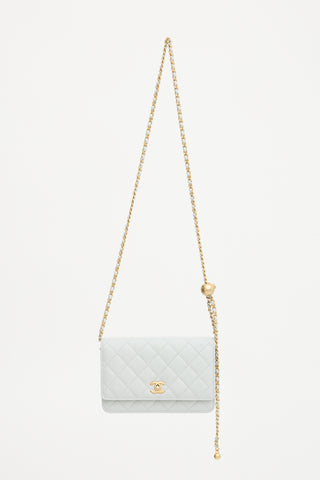 Chanel Quilted Leather Pearl Crush Flap Bag