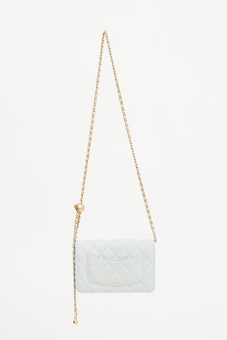 Chanel Quilted Leather Pearl Crush Flap Bag