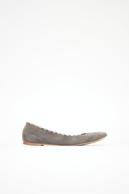 Chloé Suede Lauren Flat