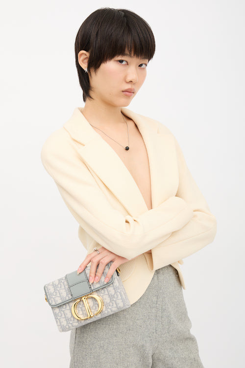 Dior 2021 Oblique 30 Montaigne Bag