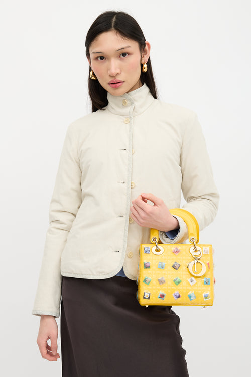 Dior Leather Lady Dior Art Bag