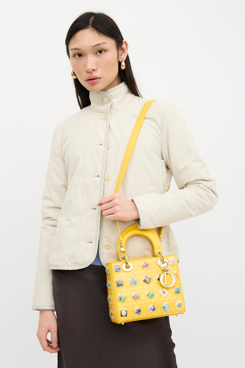 Dior Leather Lady Dior Art Bag