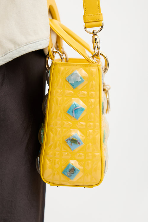 Dior Leather Lady Dior Art Bag