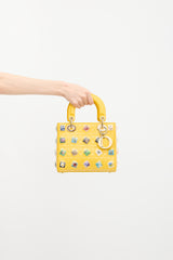 Dior Leather Lady Dior Art Bag