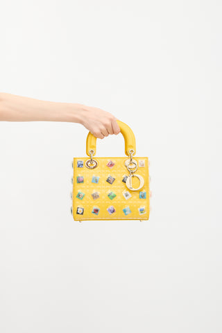 Dior Leather Lady Dior Art Bag