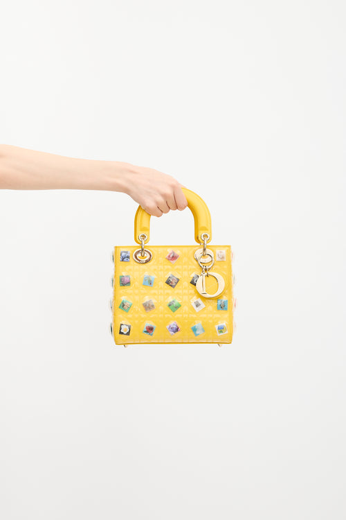 Dior Leather Lady Dior Art Bag