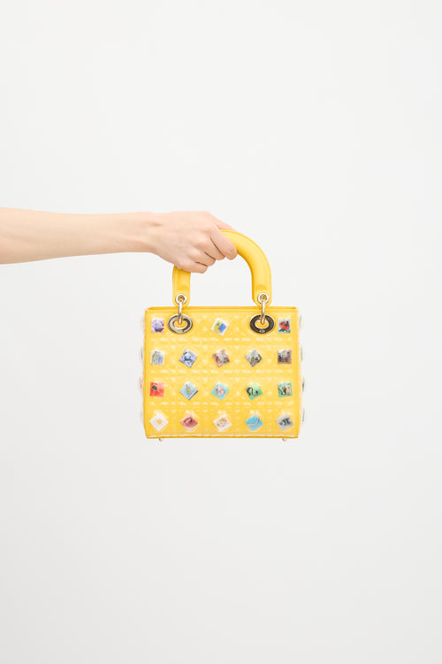 Dior Leather Lady Dior Art Bag